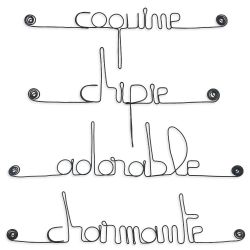 Lot de petits messages " FILLETTE : Adorable, Chipie, Coquine, Charmante " en fil de fer - à punaiser - Bijoux de mur