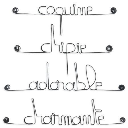 Lot de petits messages " FILLETTE : Adorable, Chipie, Coquine, Charmante " en fil de fer - à punaiser - Bijoux de mur