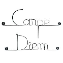 Message simple en fil de fer " Carpe diem " - à punaiser - Bijoux de mur