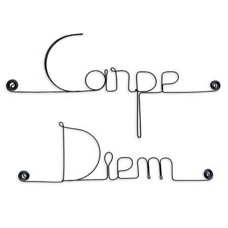 Message simple en fil de fer " Carpe diem " - à punaiser - Bijoux de mur