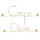 Message simple en fil de fer " Carpe diem " - à punaiser - Bijoux de mur