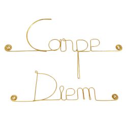 Message simple en fil de fer " Carpe diem " - à punaiser - Bijoux de mur