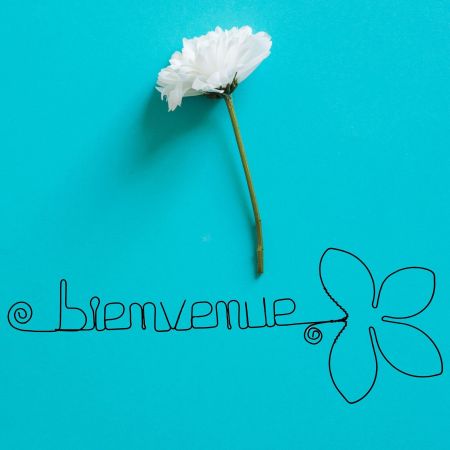 Décoration murale en fil de fer - Fleur de Lotus - "Bienvenue" - Printemps/Été