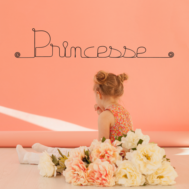 Décoration Murale en Fil de Fer "Princesse" - à punaiser - Bijoux de Mur - Chambre Enfant/Ado