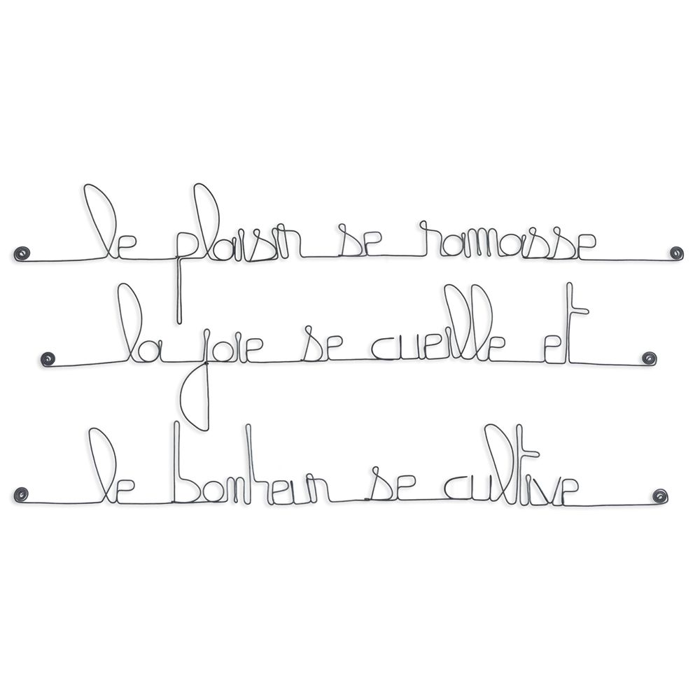 Citation en fil de fer
