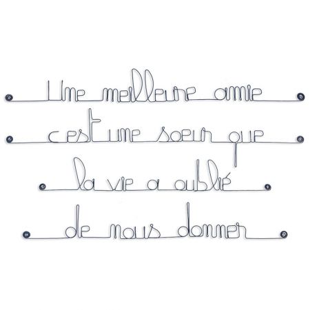 Citation en fil de fer " Une meilleure amie, c'est une soeur que la vie a oublié de nous donner " - à punaiser - Bijoux de mur